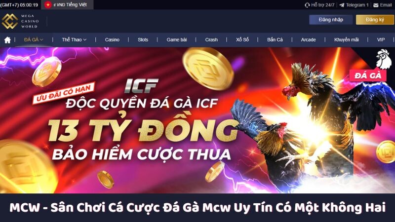 Giới thiệu chung về MCW