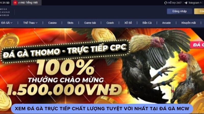 Những tiêu chuẩn để xem đá gà chất lượng